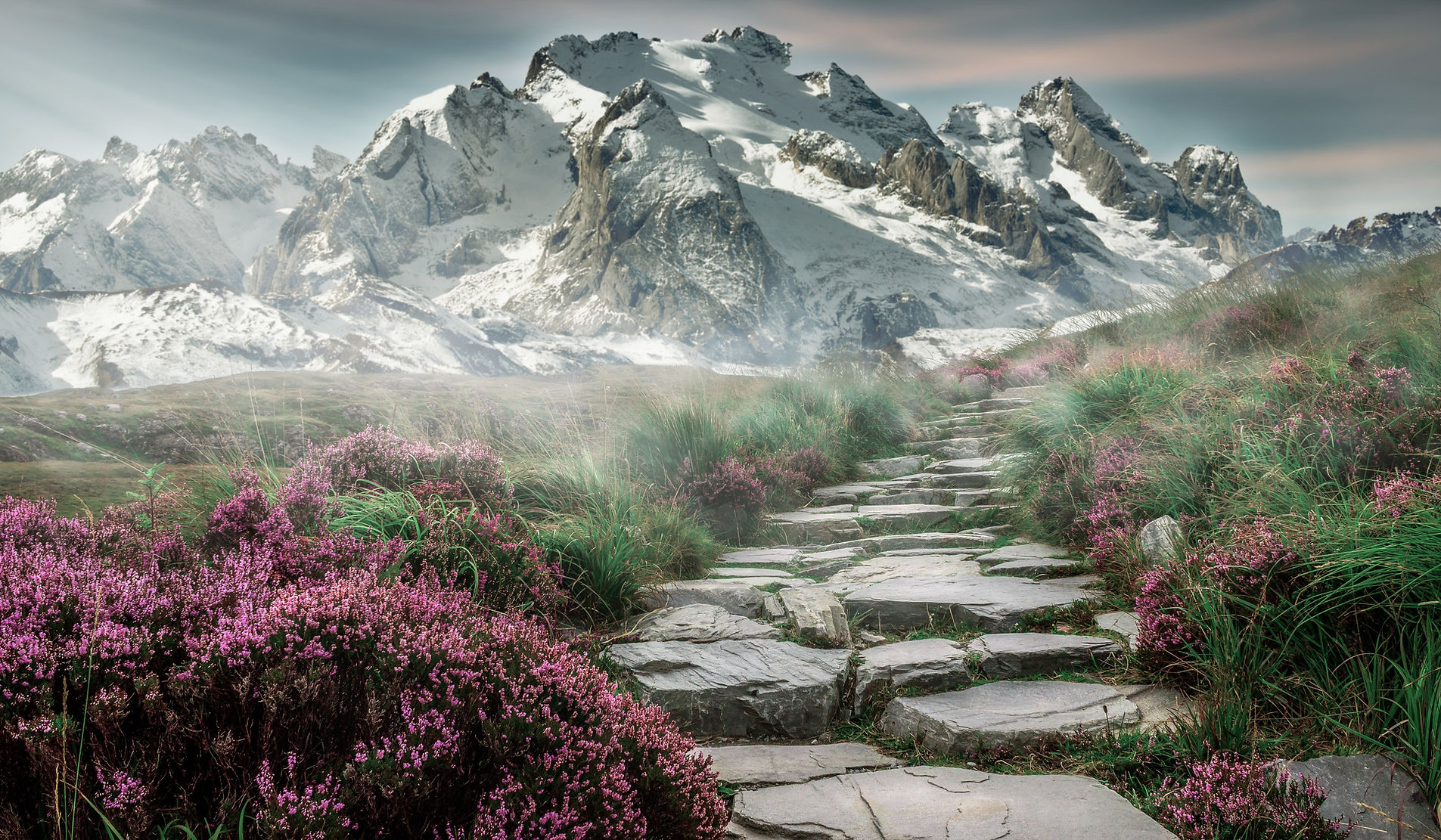 Stone pathway leading toward snow-capped mountains with wildflowers